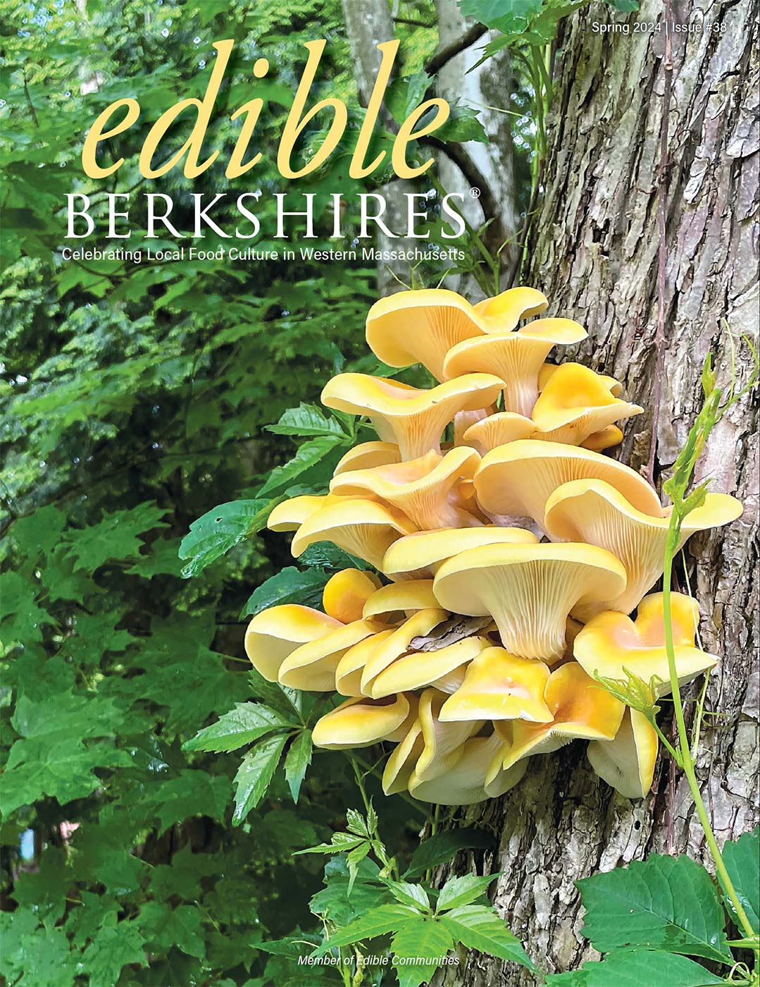 In Issue #38: Spring 2024 - Seize the Season - Edible Berkshires